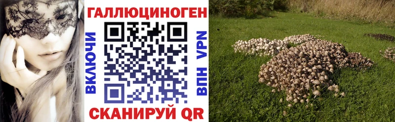 мориарти состав  Шилка  Псилоцибиновые грибы прущие грибы 