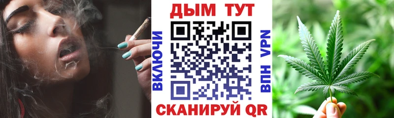 Марихуана OG Kush  Шилка 